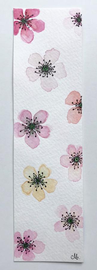 Cherry blossoms flowers
