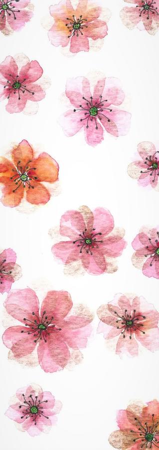 Cherry blossom flowers