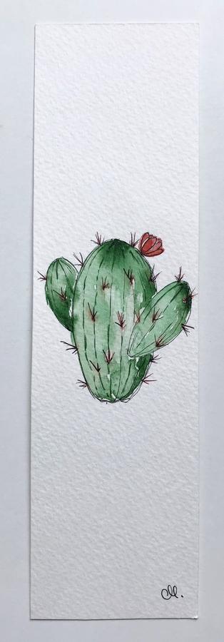 Chubby cactus flower