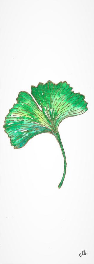 ginkgo biloba watercolor leaf