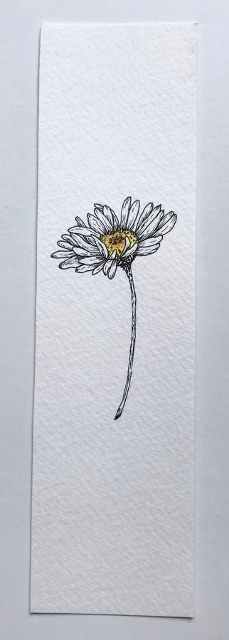 Loose daisy watercolor