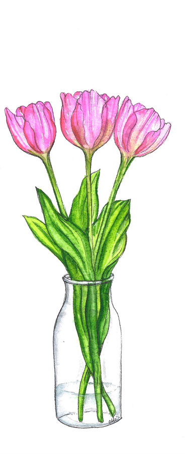 Rose Tulips