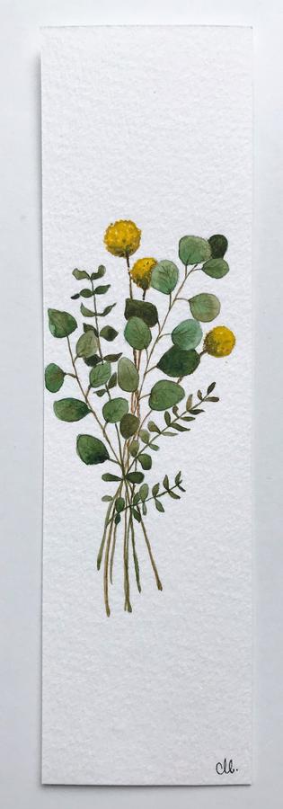 Eucalyptus bouquet watercolor painted