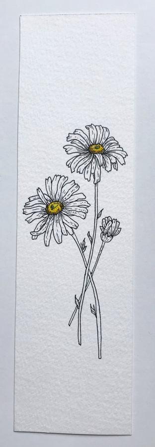 wild daisies watercolor painting