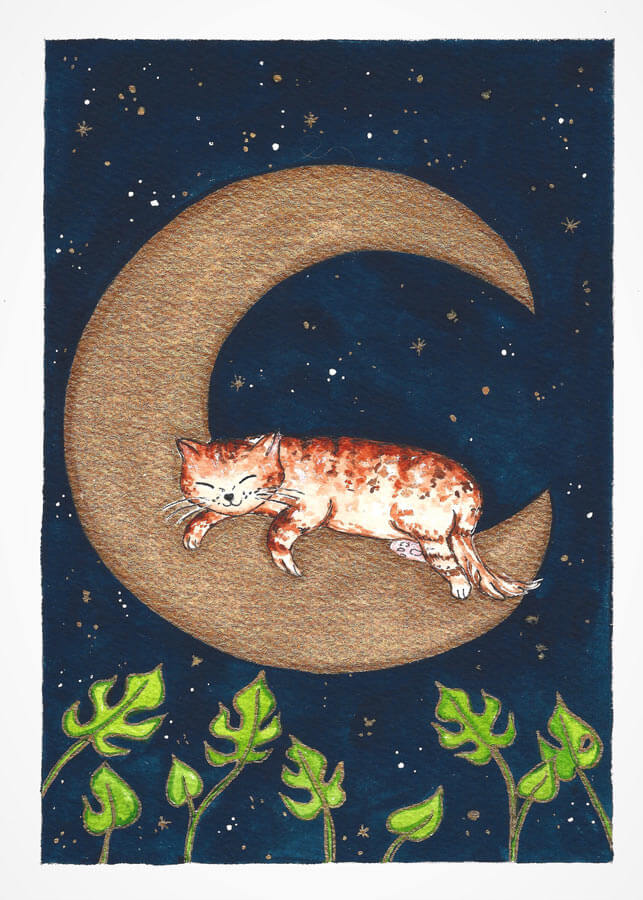 cat sleeping on the moon 
