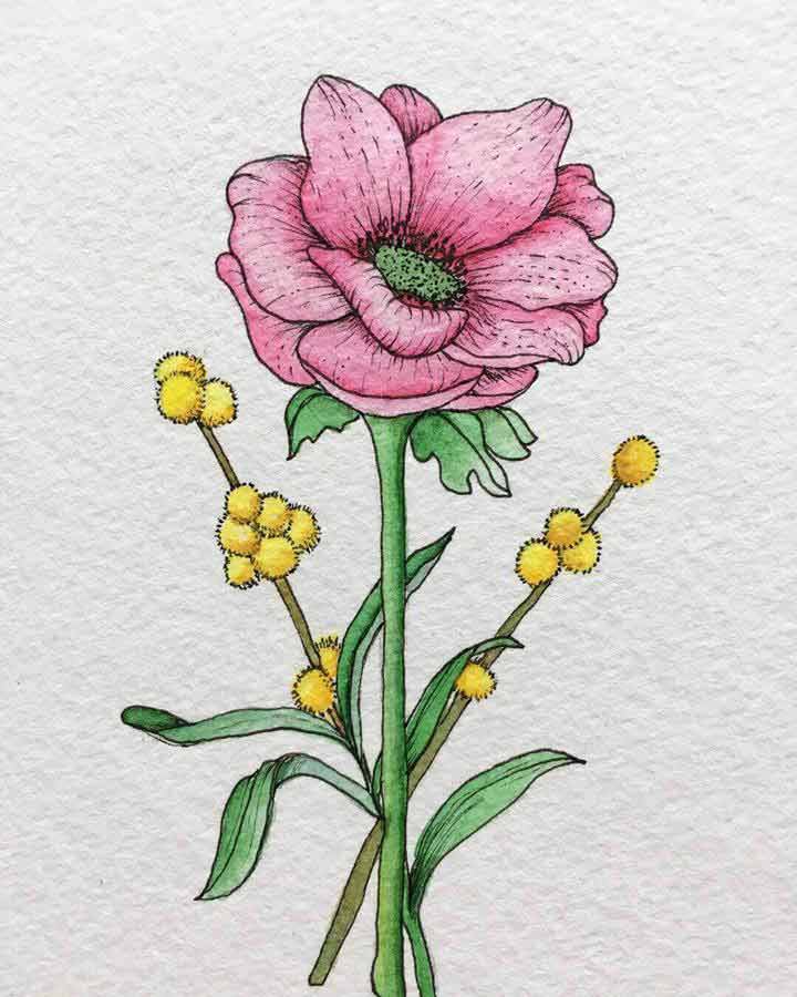 Loose pink flower watercolor 