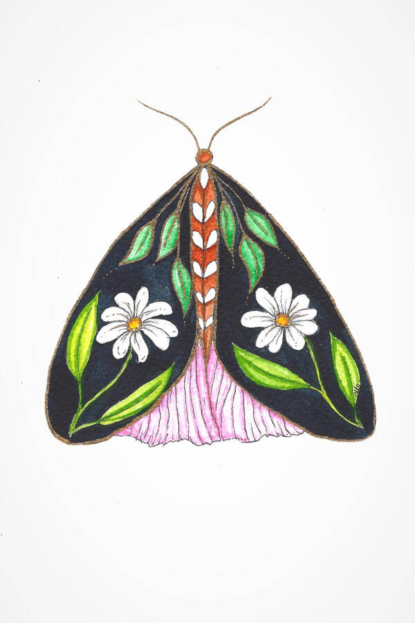 whimsical moth