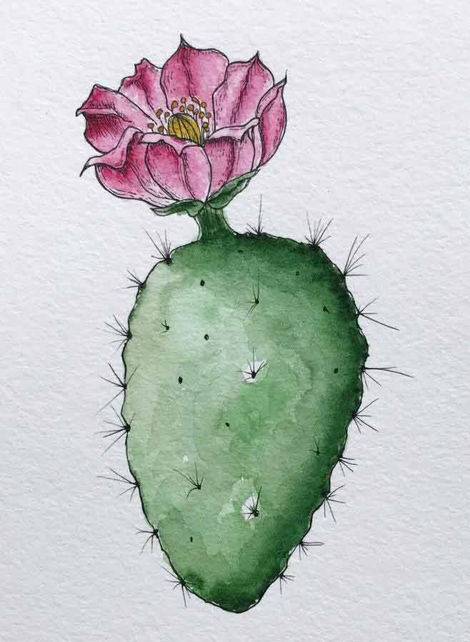 pink flower cactus watercolor art