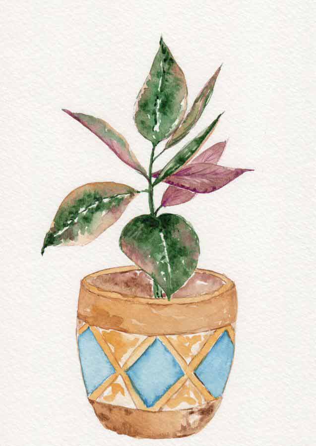 realistic plant in a pot watercolor painting