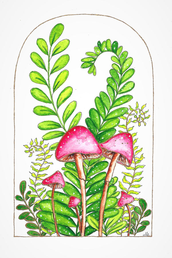 mushrooms & plants 