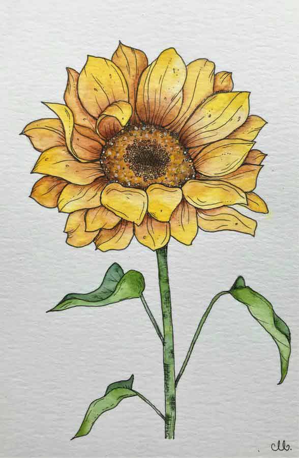 sunflower watercolor painting