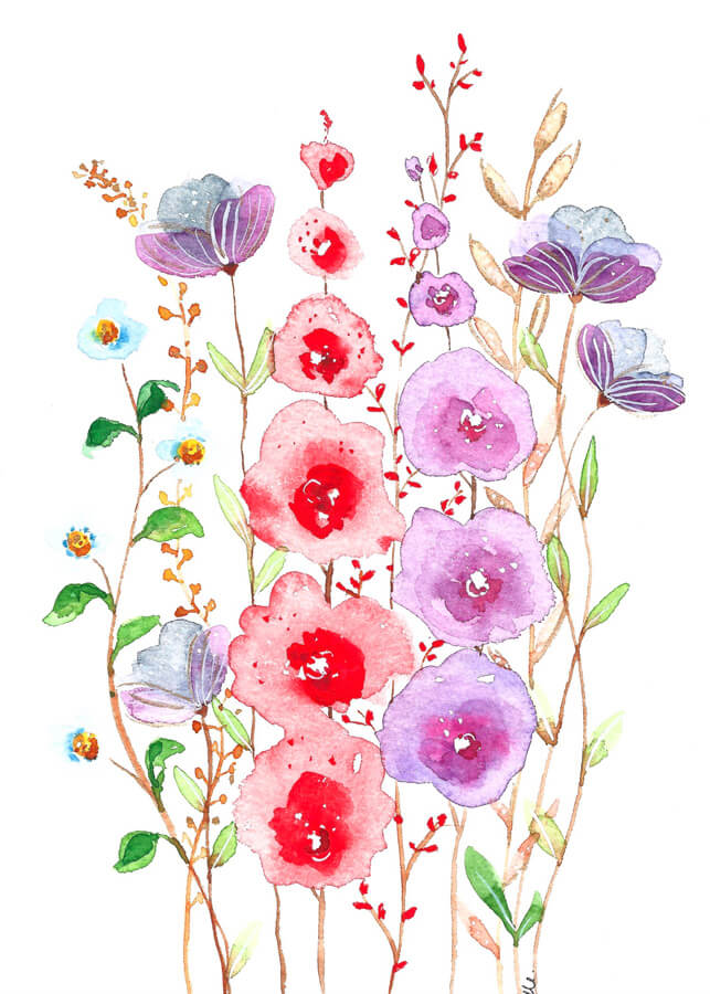 Colorful Wildflowers