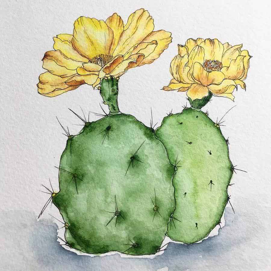 yellow cactus bloom watercolor